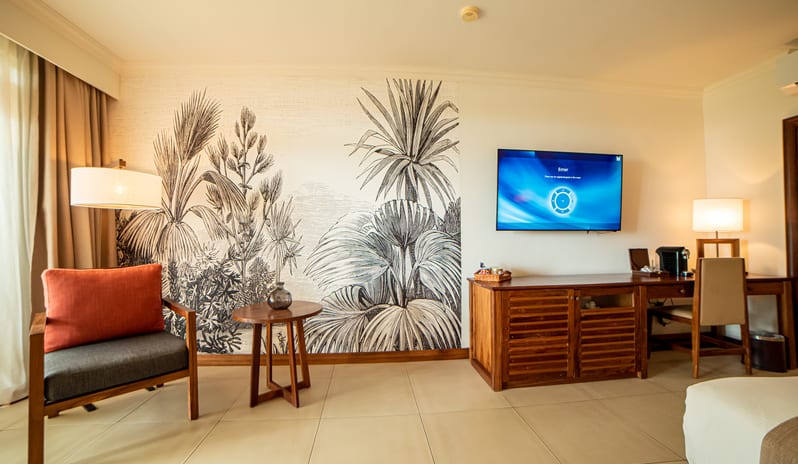 Deluxe Suite Details